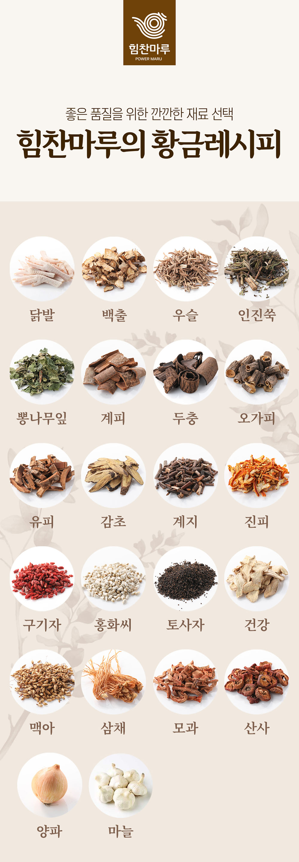 16_힘찬마루의 황금레시피.jpg